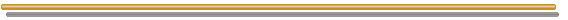 barra2.gif (405 bytes)