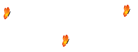 borbo08.gif (18934 bytes)