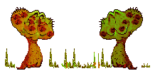 corac04.gif (33431 bytes)