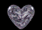corac40.gif (13320 bytes)
