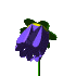 margari.gif (5977 bytes)
